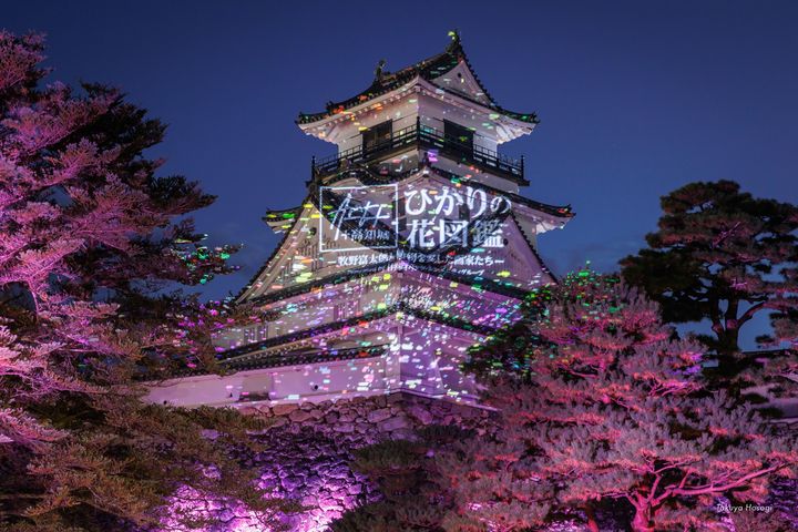 日本三大夜城之一的高知城,近期「ART+ +高知城 ひかりの花図鑑」光雕秀絢爛展演中。 圖:高知縣國際觀光課/提供