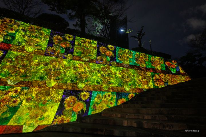 住宿送門票/2022年高知縣燦爛冬夜 「ART+ +高知城 光之花圖鑑」光雕秀快來揭秘9大亮點