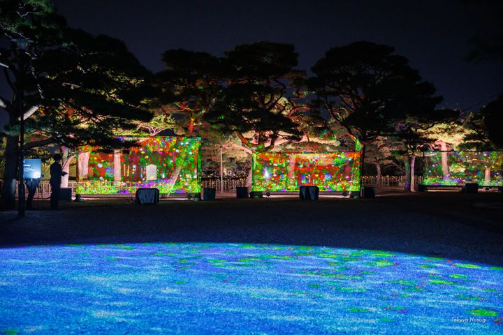 住宿送門票/2022年高知縣燦爛冬夜 「ART+ +高知城 光之花圖鑑」光雕秀快來揭秘9大亮點