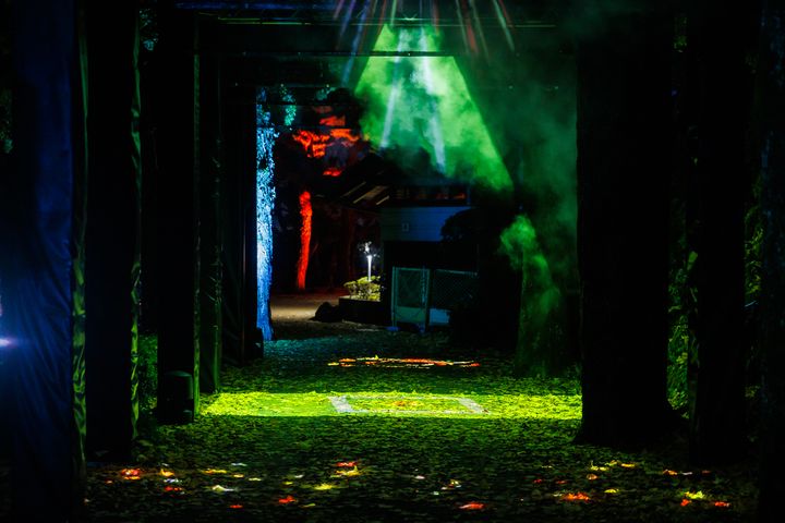 住宿送門票/2022年高知縣燦爛冬夜 「ART+ +高知城 光之花圖鑑」光雕秀快來揭秘9大亮點