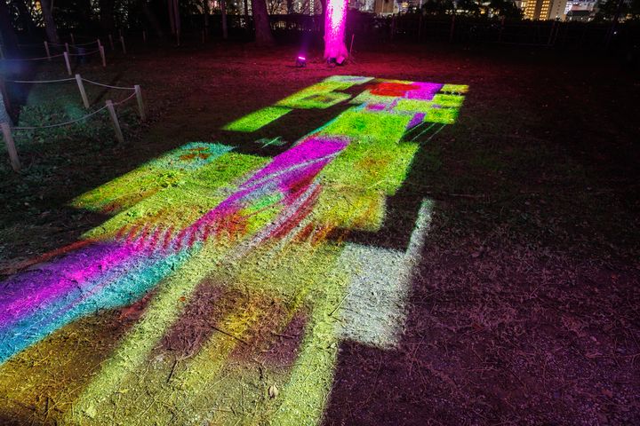 住宿送門票/2022年高知縣燦爛冬夜 「ART+ +高知城 光之花圖鑑」光雕秀快來揭秘9大亮點