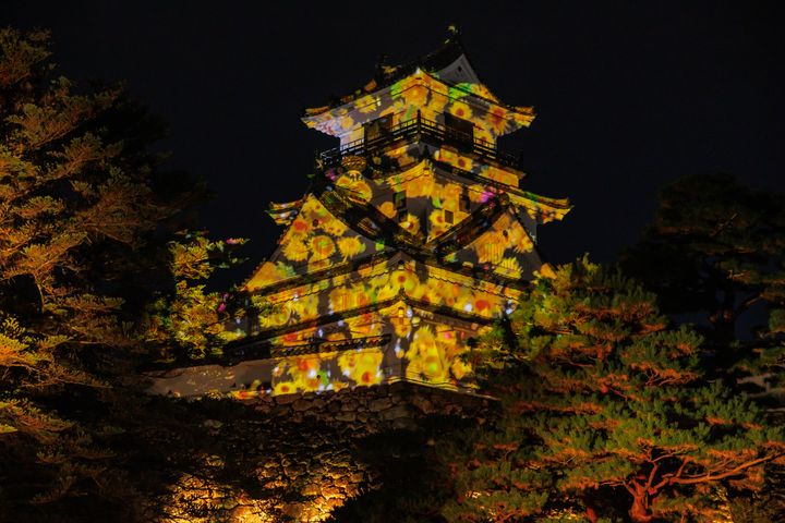 住宿送門票/2022年高知縣燦爛冬夜 「ART+ +高知城 光之花圖鑑」光雕秀快來揭秘9大亮點