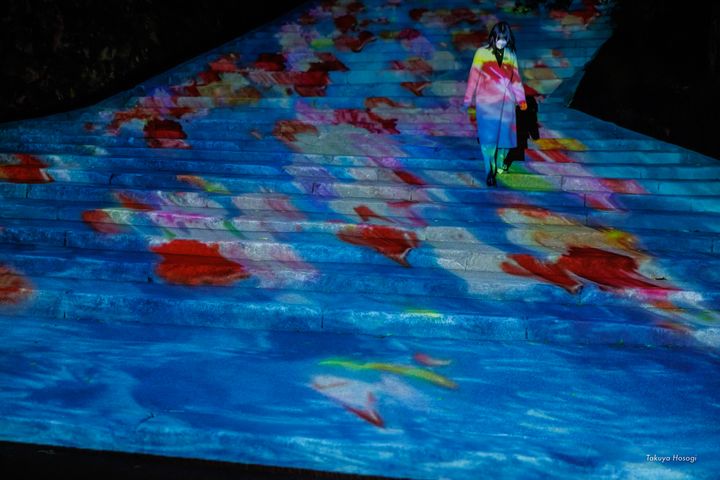 住宿送門票/2022年高知縣燦爛冬夜 「ART+ +高知城 光之花圖鑑」光雕秀快來揭秘9大亮點