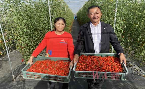 觀光客走進來農特產配送出去 新科鄉長賴志銘從觀光果園串起大村休閒產業鏈