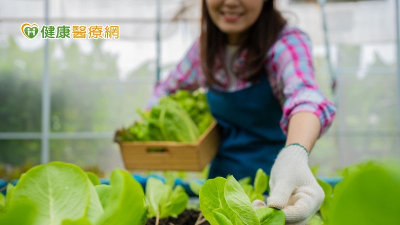 6旬婦積極治療、平時愛種菜 竟能與「癌王」共存3年