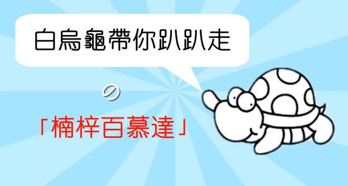 白烏龜趴趴走騎車路線攻略   破解楠梓百慕達