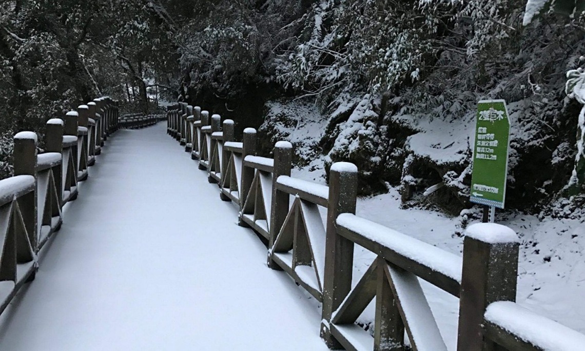 拉拉山巨木區若遇降雪 將管制車輛進入