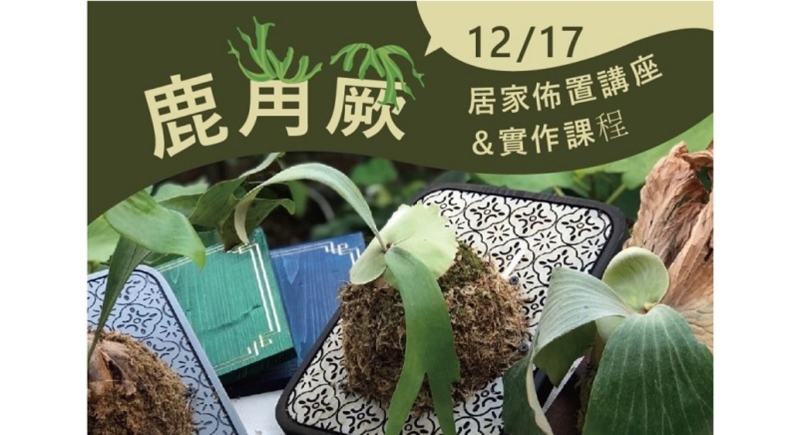 鹿角蕨居家布置講座開班授課 體驗親手栽培手刀要快
