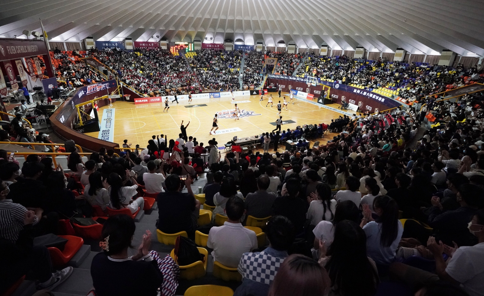 《富邦人壽UBA》政大雄鷹、成大女籃二連霸 分獲本季富邦人壽UBA男、女人氣球隊