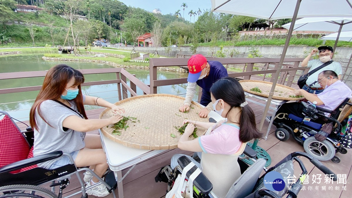 結合手揉茶體驗遊程,全齡旅客皆能深度品味澀水社區的產業文化。