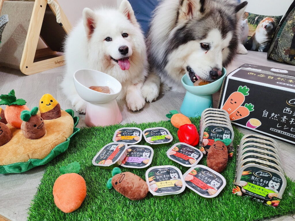 感謝雪橇犬麥可噗優和緬因喬鈮喵提供汪汪萌照