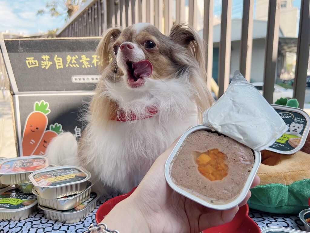 感謝Gutwa!吉爺的霸道人生提供汪汪萌照1