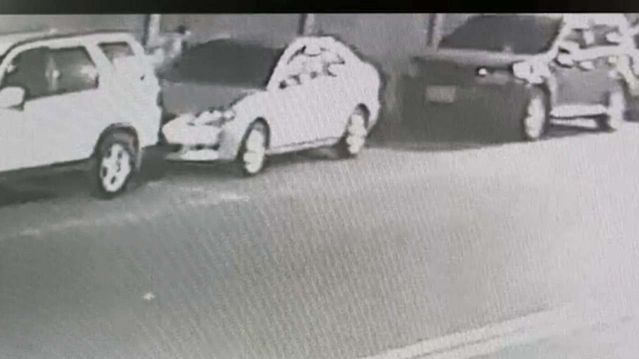 「你的Lucky不是你的Lucky！」竊賊以遛狗掩飾竊取車內財物 監視器全錄下遭逮還嘆衰