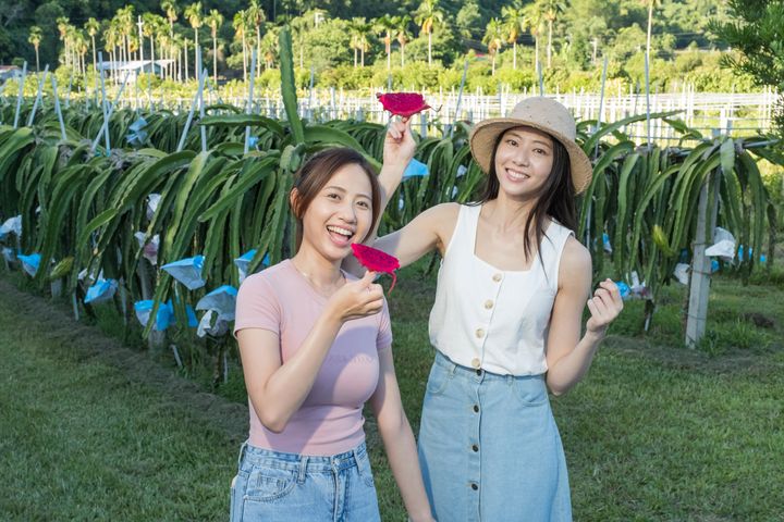 《恩典與歡慶》迎接國際旅客 展現花東縱谷崇天.敬地.禮人之心