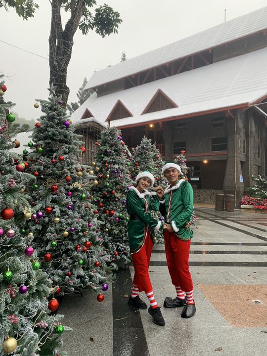歡慶佳節／賞北國雪景 觀聖誕遊行.舞會 變裝遊園再享特價