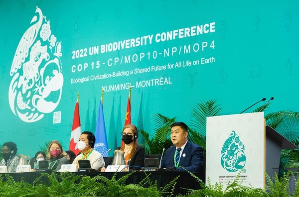 圖為伊利集團執行總裁劉春喜(右一)在COP15第二階段會議的高級別會議上發言(2022年12月12日)。 圖為伊利集團執行總裁劉春喜(右一)在COP15第二階段會議的高級別會議上發言(2022年12月12日)。