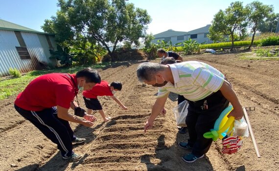共食有機菜園開心農場 烏日五光社區獲衛福部城市夥伴獎