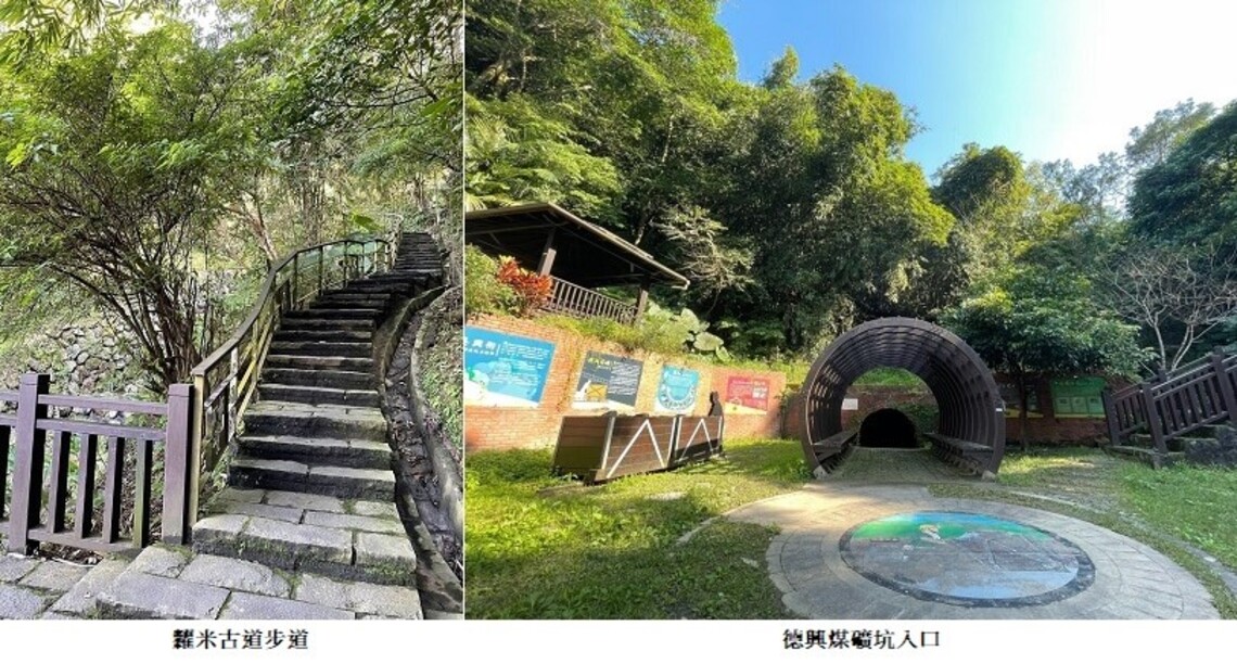 新春城市微旅行   兔年糶米暢遊趣
