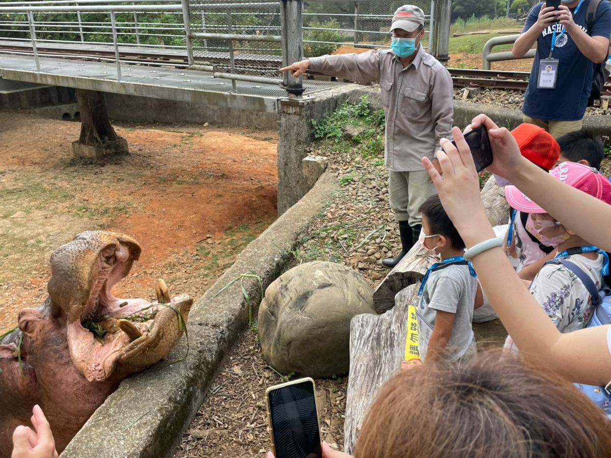 跟著專業保育員瞭解野生動物園平時的照養工作與開啟對動物行為豐富化的認識。並帶著大小朋友進入平時不對外開放的河馬展場、黑熊展場與犀牛室內欄舍,近距離了解動物們的生活習性