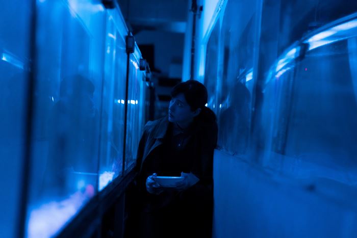 府中15「心之所向」主題影展 名導名片迎新春 首推《仰望星空的少年》、《天使情緣》、《少女的孤島》影展強片