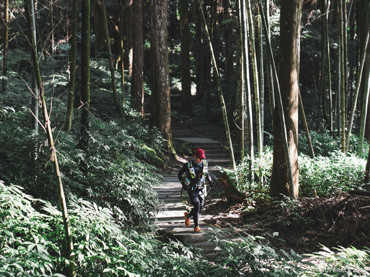 跑進不同的角落,挖掘不同的阿里山美景(圖:SUPERACE提供)