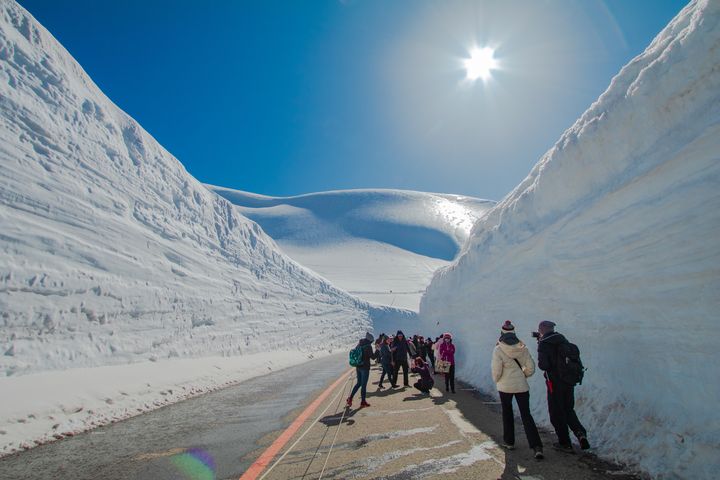 立山黑部雪之大谷奇觀,一生必看。 圖:喜鴻假期/提供