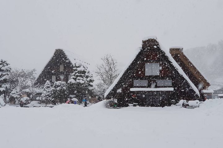美景限定/漫遊立山黑部 一探雪壁奇觀