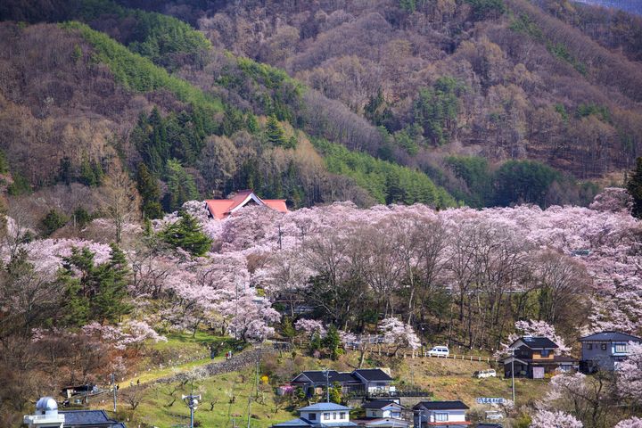 美景限定/漫遊立山黑部 一探雪壁奇觀