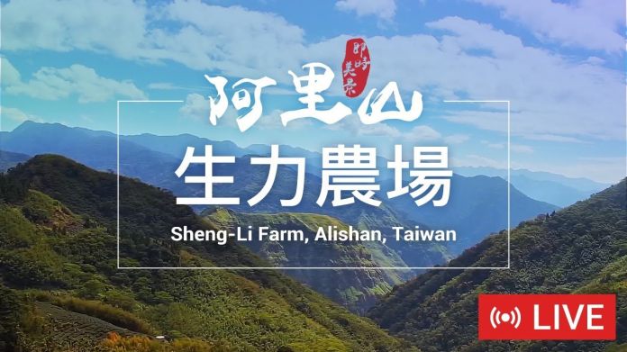 阿里山生力農場
