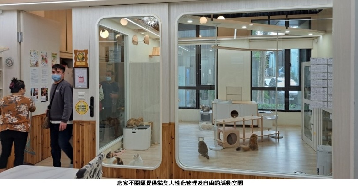 111年度新北寵物業評鑑結果出爐! 共197間優良店家