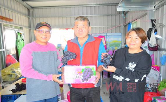 冬季葡萄登場 果農陳榮貌創造優鮮果化IN 大村的價值