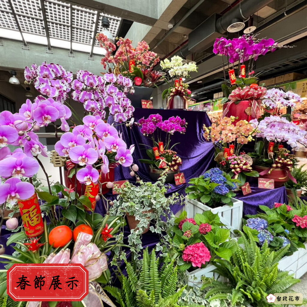 春節展示