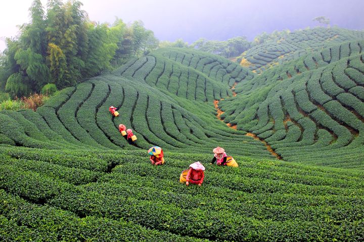 迎接疫後旅遊新常態 優化國際魅力景區與在地深度旅遊新體驗