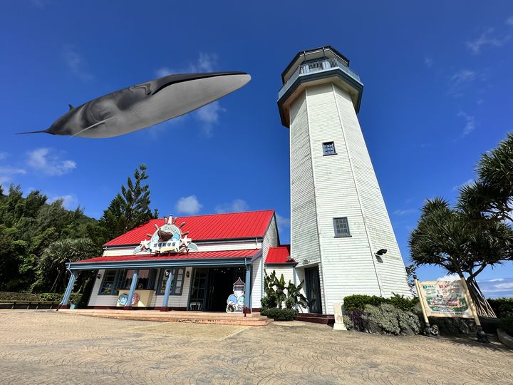 夢幻饗宴/遠雄海洋公園20週年慶典 全新視覺形象磅礴登場