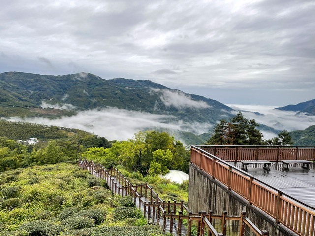 太興岩步道 (1).jpg