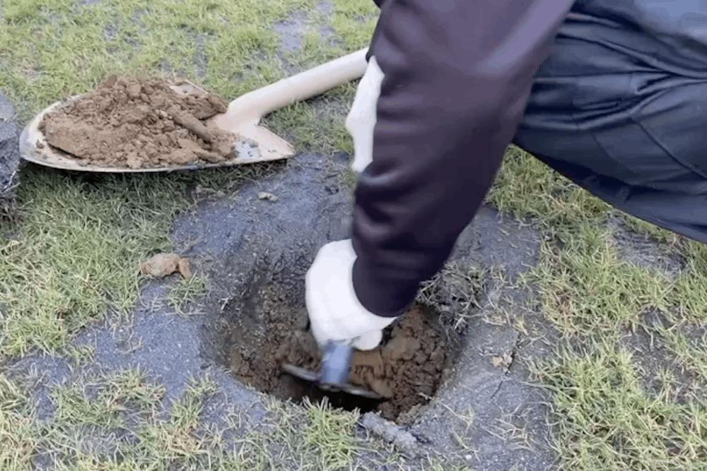 高虹安:新竹棒球場挖大密寶挖出廢電線 85 挖出廢電線