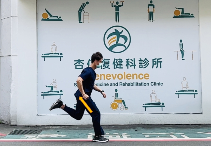 跑步時擺盪末期腿後肌負責讓小腿減速,是主要出力的肌群,若過度疲勞、瞬間出力過度,有可能造成傷害
