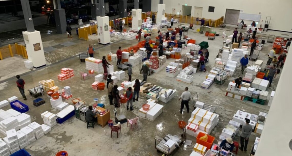 高市魚貨拍賣市場租金、漁港及漁船證照等規費減(免)收 後疫情階段 為海洋及漁業產業紓困振興元氣