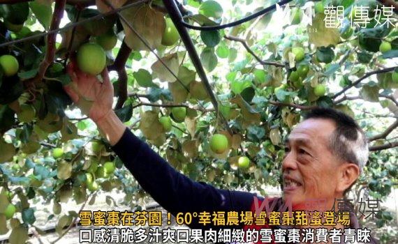 影/彰化縣最高海拔的雪蜜棗在芬園!60°幸福農場雪蜜棗甜蜜登場