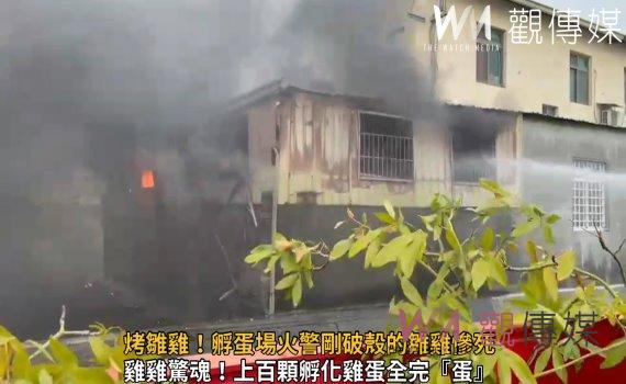 影／烤雛雞！孵蛋場火警剛破殼的雛雞慘死　約30隻雛雞葬生火場