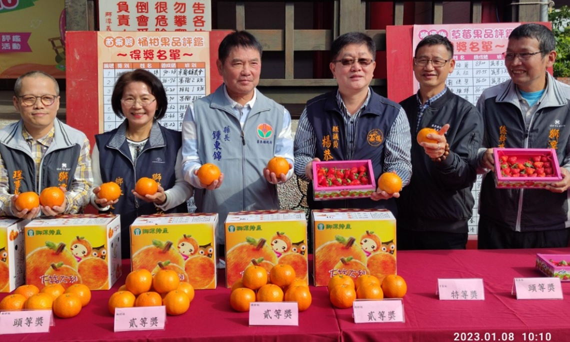 獅潭「橘莓戀」桶柑草莓評鑑出爐 鍾東錦今頒獎行銷苗栗桶柑草莓