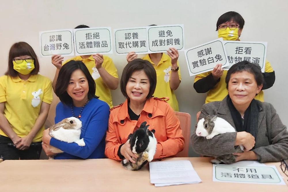 兔年生肖熱潮恐衍生棄養 民團籲勿衝動飼養兔子 88 三位女立委與兔子合照