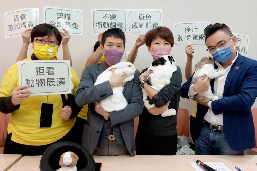兔年生肖熱潮恐衍生棄養 民團籲勿衝動飼養兔子 90 立委與兔子合照