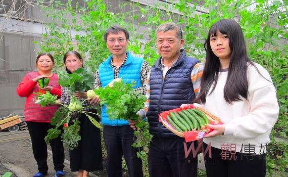 現採現吃的蔬果超市 埤頭鄉綠寶禾農園過年期間開放採蔬果