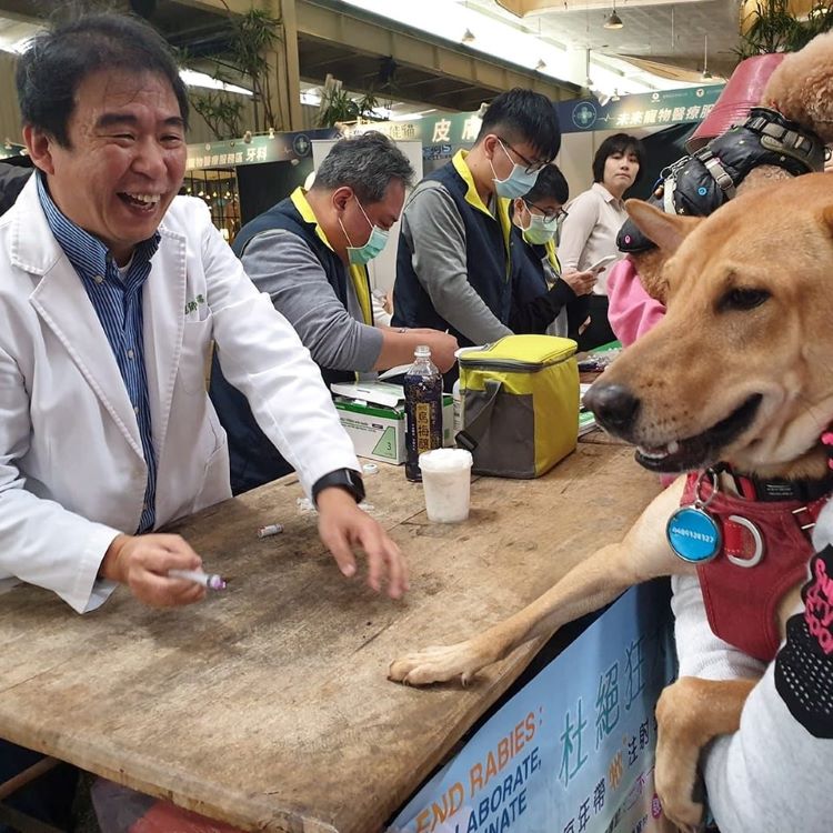 台北寵物節醫生為毛孩健診。(圖/波波錢包提供)