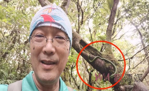 台南山友登山巧遇罕見「南部神獸」 網友:太幸運
