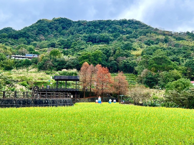 樟樹步道美景 (1).jpg