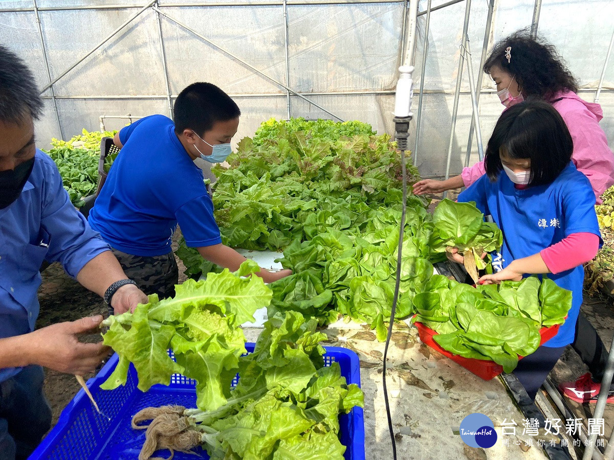 潭墘國小師生義賣栽種水耕蔬菜 傳愛喜樂品嘗收成後的甜美