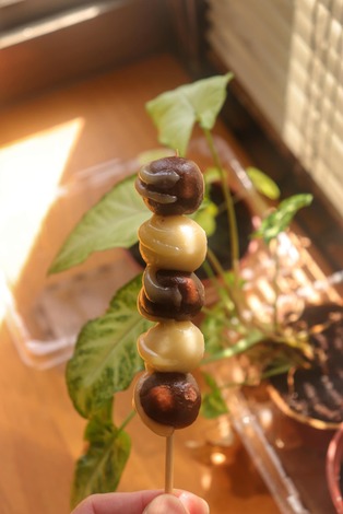 滾水煮至團子浮起,撈起瀝乾,以竹籤串起.jpg