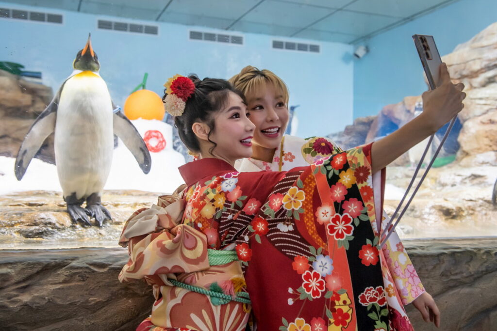 超萌「企鵝冰雪鏡餅」,樂天女孩也瘋狂